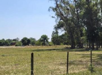 Terreno · 1500m² · Terrenos en Venta - 1500 m² - Exaltación de La Cruz