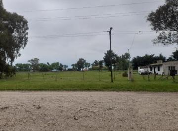 Terreno · 5000m² · Terreno en Venta - 5.000 m² - Mar del Plata