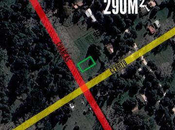 Terreno · 290m² · Terreno en Venta - 290 m² - Miramar