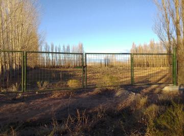 Terreno , Plottier · Plottier – Venta – 10 Hectáreas – Zona China Muerta