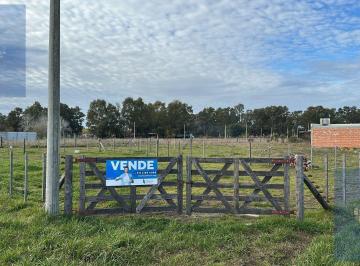 Terreno · 300ha · Terreno en Loteo Los Pinos