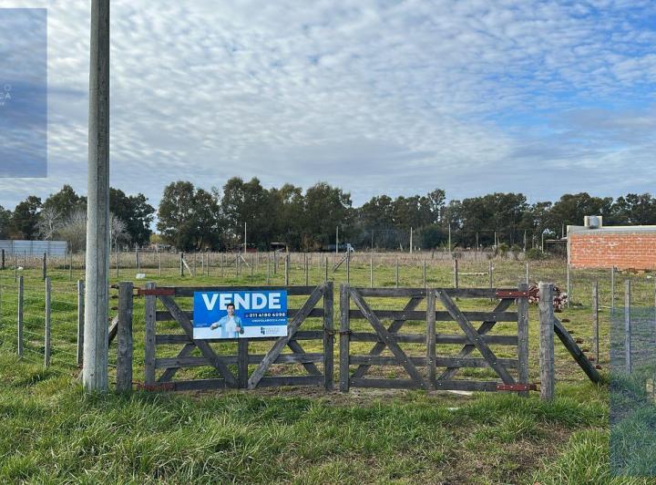 Terreno · 300ha