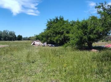 Terreno · 31039m² · Terreno en Venta - 30.000 m² - Estancia Benqueria, Monte