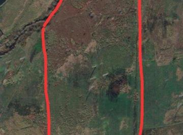 Terreno , Cañuelas · Campo Virgen de 36 Ha - Cañuelas