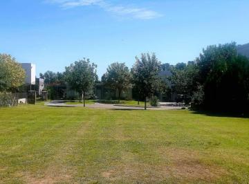 Terreno · 648m² · Venta Lote en Cul de Sac Barrio Santa Guadalupe - Pilar del Este. Ultimos Lotes!