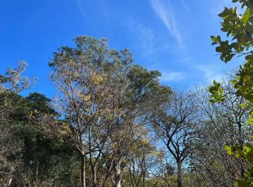 Campo · 19ha · Se Vende Campo 19ha en Unquillo a 400 m de La Ruta