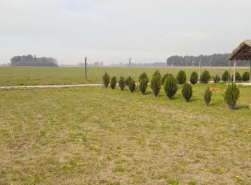 Terreno · 600m² · Terreno en Venta - 600 m² - Baradero