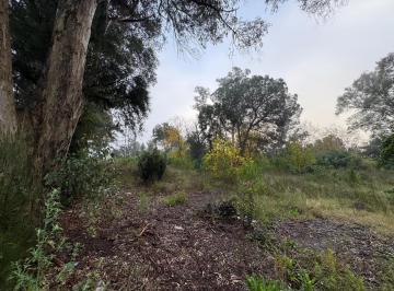 Terreno · 882m² · Lote en Venta en Matheu - ID 5770