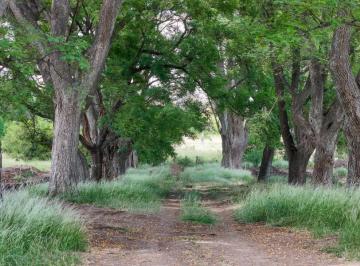 Terreno · 800m² · Terreno en Estancia Carabassa