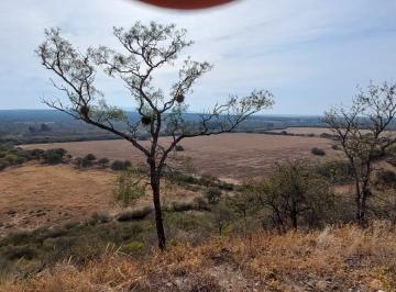 Campo · 18290000m² · Campo | Venta | Horcones | R de La Frontera | Salta | 1829 Ha