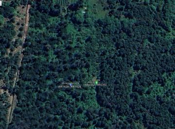 Terreno · 40000m² · Terreno - Mallin Ahogado