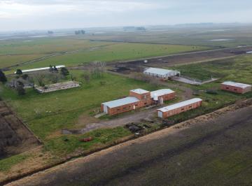 Campo · 4890000m² · 5 Ambientes · Campo de 489 Ha, en Paraje La Campana, Saladillo