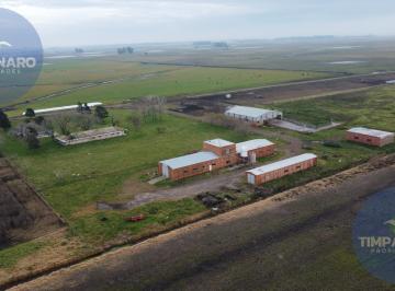 Campo · 489ha · 5 Ambientes · Campo en Venta en Saladillo – 489 Ha con Tambo, Casa, Galpones y Silos