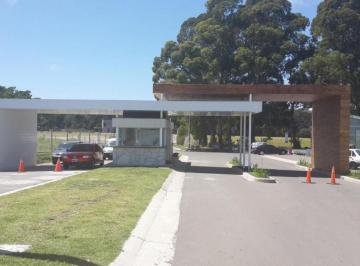 Terreno · 930m² · Lote en El Barrio Las Prunas de 930 m