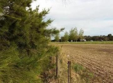 Terreno · 2275m² · Terrenos Venta - 44x51 m - 2275 m² Totales - Baradero