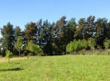 Campo · 170000ha · Campo a La Venta en Open Door, Lujan