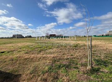 Terreno · 602ha · Lote en Venta Village Joven Bellavista
