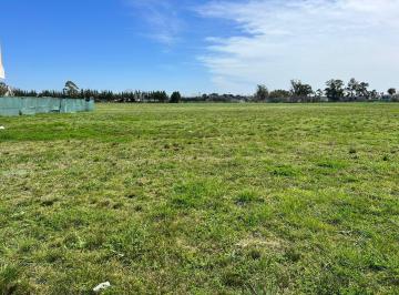 Terreno , Berazategui · Lote en Venta con Vista a La Cancha de Polo