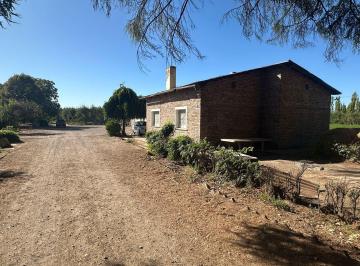 Campo · 140m² · Venta de Chacra en Allen, 6 Ha