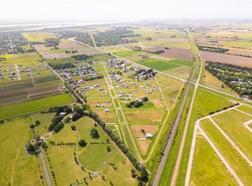 Terreno , Pueblo Esther · Nuevo Valor! Lote en Venta en Desarrollo Palo Alto / Pueblo Esther