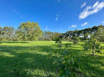 Terreno · 800m² · Terreno en Los Hornos