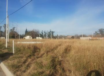 Terreno · 339m² · Terreno Ibarlucea