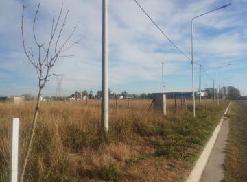 Terreno · 339m² · Terreno Ibarlucea