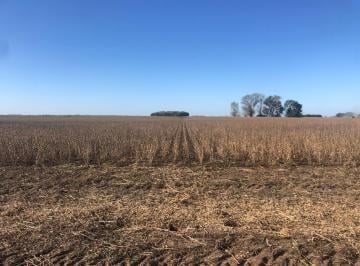 Campo · 2330000m² · Campo en Venta en General Alvear