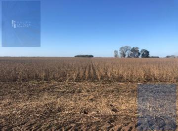 Campo · 2330000ha · Campo en Venta en General Alvear