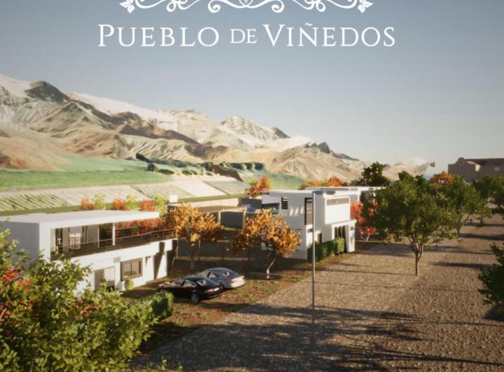 Desarrollo horizontal · Pueblo de Viñedos
