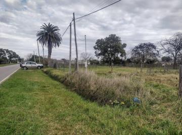 Terreno · 7091m² · Hectárea a La Venta en Magdalena