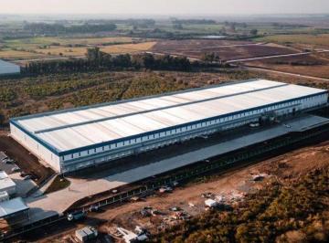Depósito · 7000m² · Excelente Deposito Multi - Inquilinos en Alquiler en Parque Ind Pilar a Estrenar. Ideal Logistica.