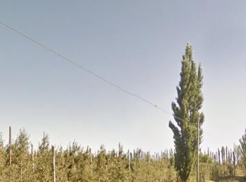 Terreno · 50000m² · Venta de Chacra en Produccion, General Roca