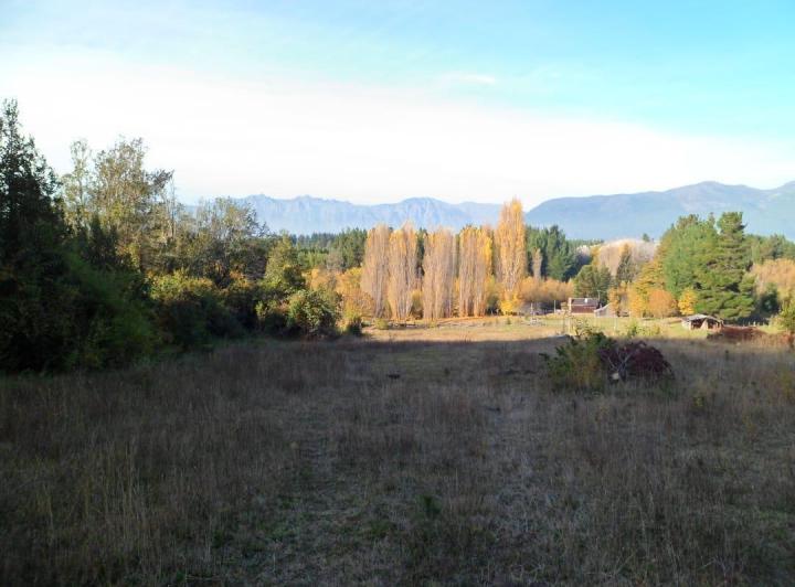 Campo · 30000m²