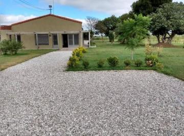 Campo · 678ha · 5 Ambientes · Ha con Casaquinta - Galpones