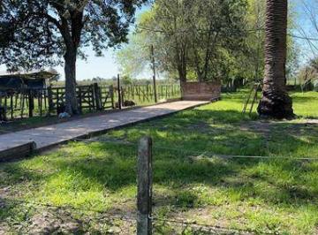 Campo · 60000m² · Chacra Sobre Ruta 20 Gualeguaychu!