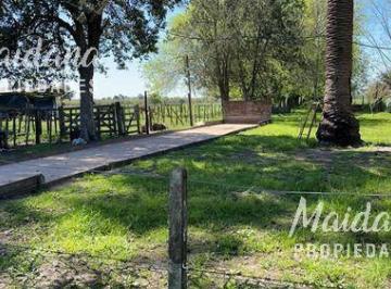 Campo · 60000m² · Chacra Sobre Ruta 20 Gualeguaychu!
