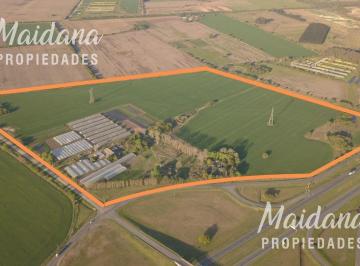 Campo · 420000m² · Excelente Campo de 42has en Venta, Lima, Zarate