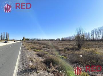 Terreno · 80000ha · Venta de Ha Industriales, Comerciales o Para Produccion Sobre Ruta 22 - Rio Negro