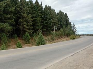 Terreno , San Martín de los Andes · Fracción de 1 o 2 Hectáreas Contiguas en Venta Para Desarrollo Inmobiliario