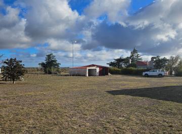 Campo · 1000m² · 5 Ambientes · 4 Cocheras · Venta Campo Ruta Nacional 3, Productivo