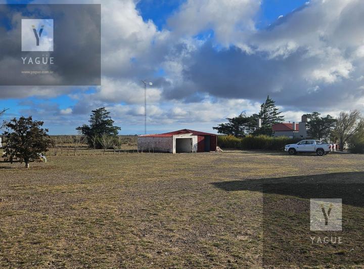 Campo · 1000m² · 5 Ambientes · 4 Cocheras