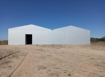Bodega-Galpón · 1440m² · Nave 1.400 m² - Circunvalación y Av Pres. Perón