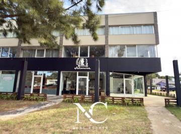 Departamento · 700m² · 1 Ambiente · Departamento en Alquiler y en Venta en Ostende