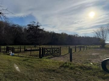 Campo , Pilar · Venta Terreno en Manzanares Barrio La Ranita