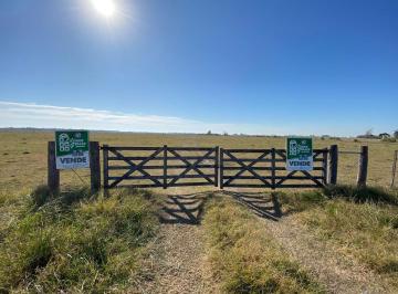 Campo · 650000m² · Venta Campo Ruta 6 Plomer Marcos Paz