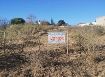 Terreno · 800m² · Se Vende Lote a Una Cuadra de Ruta 28 Camino a Tanti