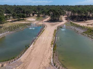 Terreno , Pinamar · Lote en Venta Pinamar Norte Barrio Bosques