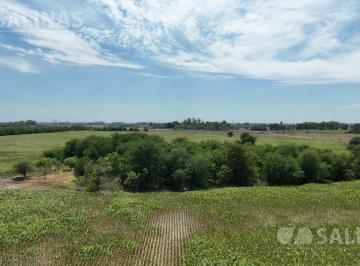 Campo · 800000ha · 80 Ha Campo Mixto en Marcos Paz