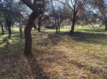 Terreno · 1000m² · Vendo Lote en Las Sierras de Cordoba